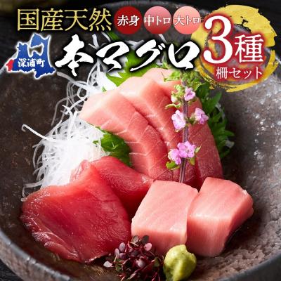 ふるさと納税 深浦町 国産天然本マグロの赤身・中トロ・大トロセット【No.5296-0031】