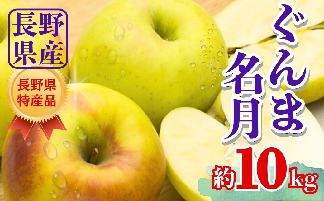 
            【2025年先行予約】りんご ぐんま名月 約10kg｜ リンゴ 林檎 ぐんまめいげつ 群馬名月 千曲市 長野県 信州
          