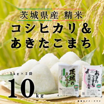 ふるさと納税 五霞町 【令和7年産】こしひかり あきたこまち 精米 10kg(各5kg×1袋)茨城 の お米 食べ比べ