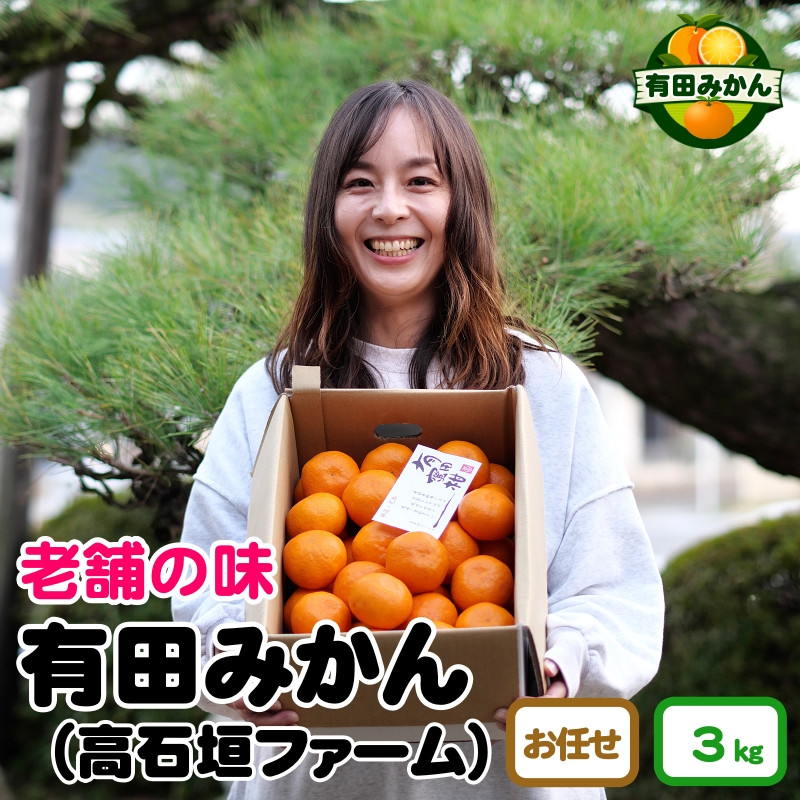 
▼有田みかん　しにせの味（3kg）サイズお任せ ※2024年10月下旬～2025年2月中旬頃に順次発送予定 【tkf004-r-3】
【tkf004-r-3】
