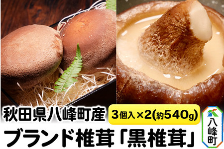 秋田県八峰町産 ブランド椎茸「黒椎茸」3個入×2パック（約540g）