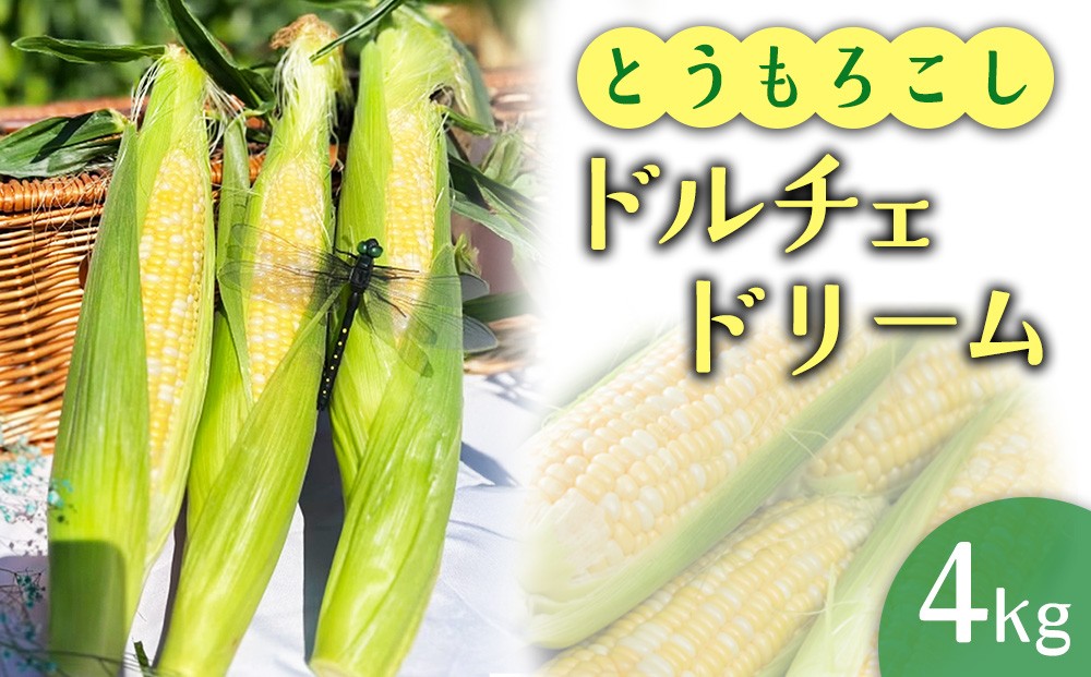 
                  2026年産 とうもろこし ドルチェドリーム 4kg ｜茨城県産 産地直送 甘い あまい ※2026年6月～発送
                