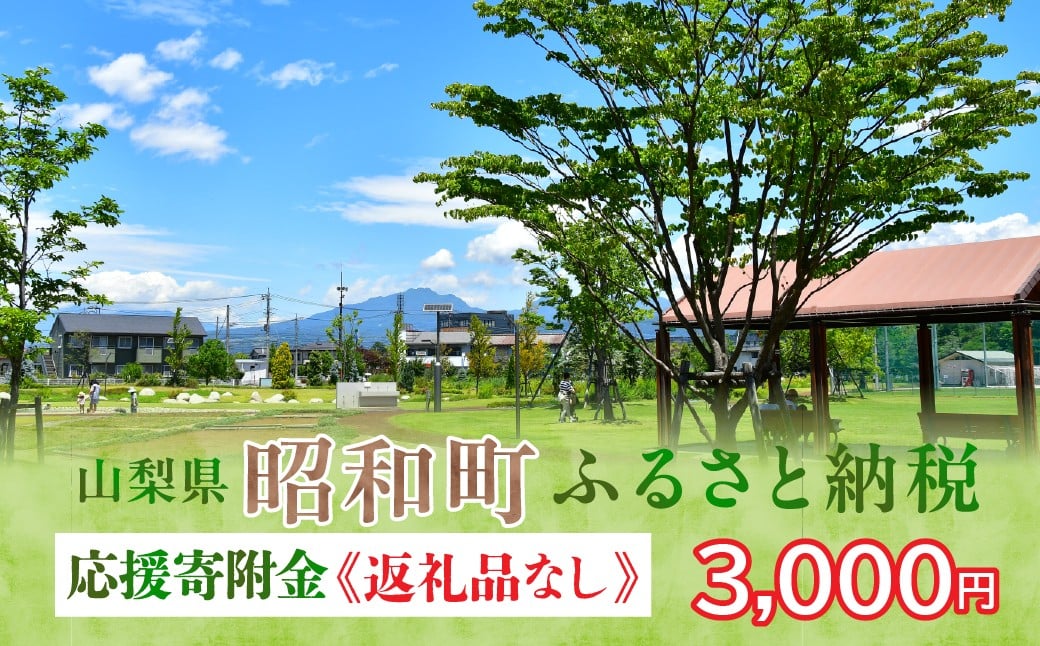 
            山梨県昭和町 応援寄附＜3,000円＞※返礼品なし
          