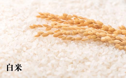 
                  7-090-001　新米・増毛町産ななつぼし5kg×6ヶ月（10月～3月）【横関農園】
                