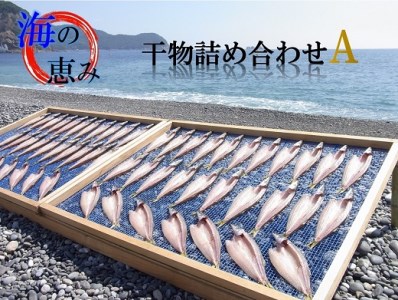 海の恵み　干物詰め合わせA【hatt0001】