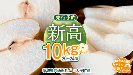 梨 新高 10kg（20～26個）【2026年10月より発送開始】（茨城県共通返礼品 [梨]：大子町産）