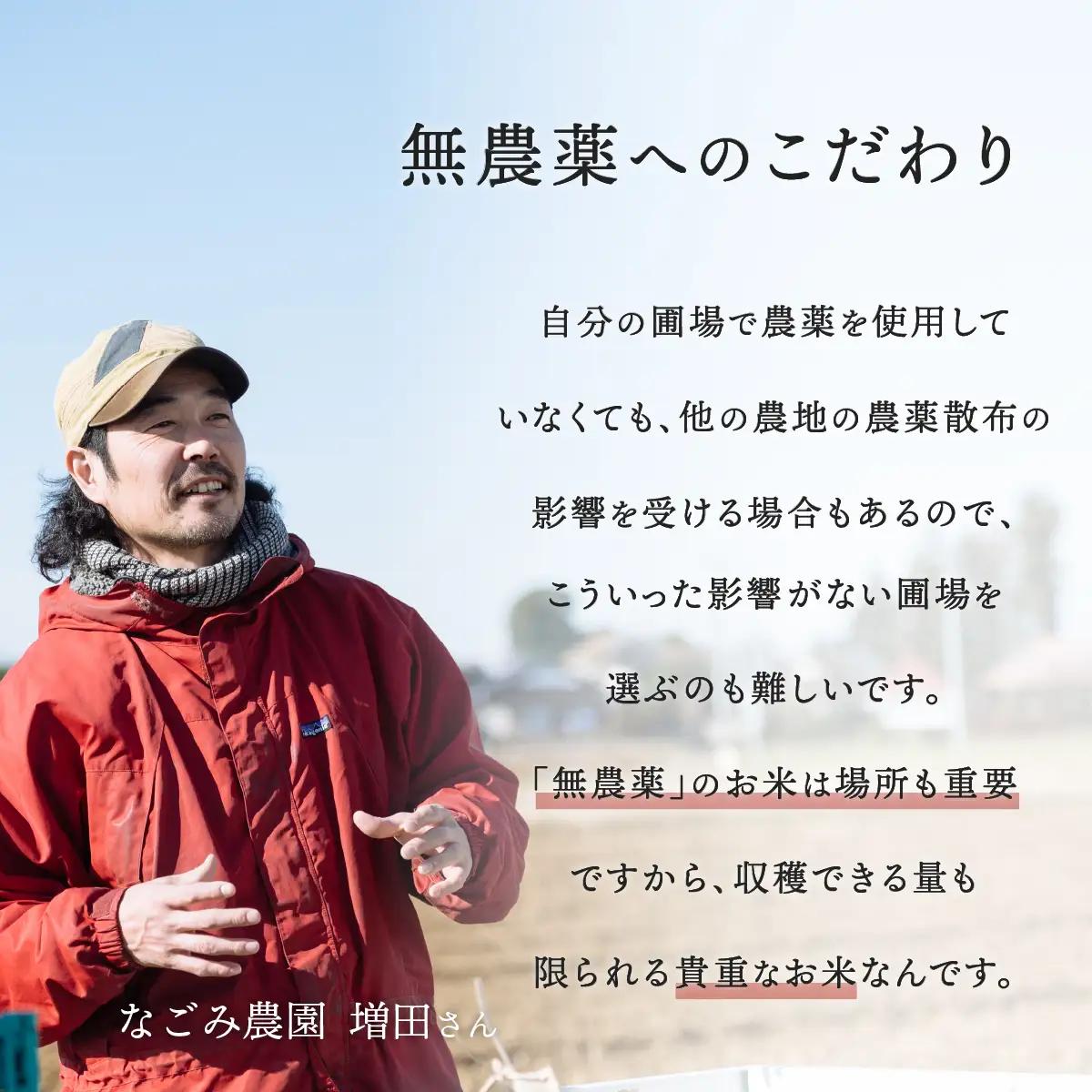 【10月発送】茨城県下妻市産 なごみ米 （ コシヒカリ ） 玄米 3kg 【 お米 コシヒカリ 米 無農薬 無化学肥料 無除草剤 玄米 ブランド米 茨城県産 】