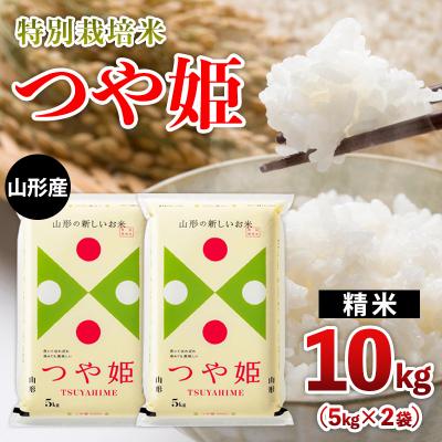 ふるさと納税 山形市 山形産 特別栽培米 つや姫 10kg(5kg×2) FZ26-769