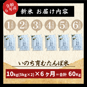 【定期便6回】 新米 米 コシヒカリ 計60kg 10kg×6回 精米したて お米 定期便 ｜ 四国 徳島県 小松島 白米 栽培期間中無農薬 ふるさと納税 おいしい こめ おこめ 精米 国産 限定 ご