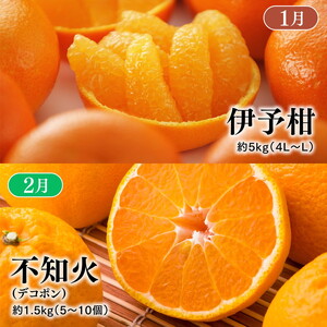 【定期便】【愛媛県共通返礼品】愛媛のかんきつ定期便（全6回）（日の丸みかん・紅まどんな・伊予柑・不知火・せとか・河内晩柑) ｜ みかん 蜜柑 日の丸みかん 紅まどんな 伊予柑 不知火 デコポン せとか