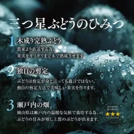 【訳あり】星乃ピオーネ 3房～5房(2kg以上)【配送不可地域：離島】【1740016】