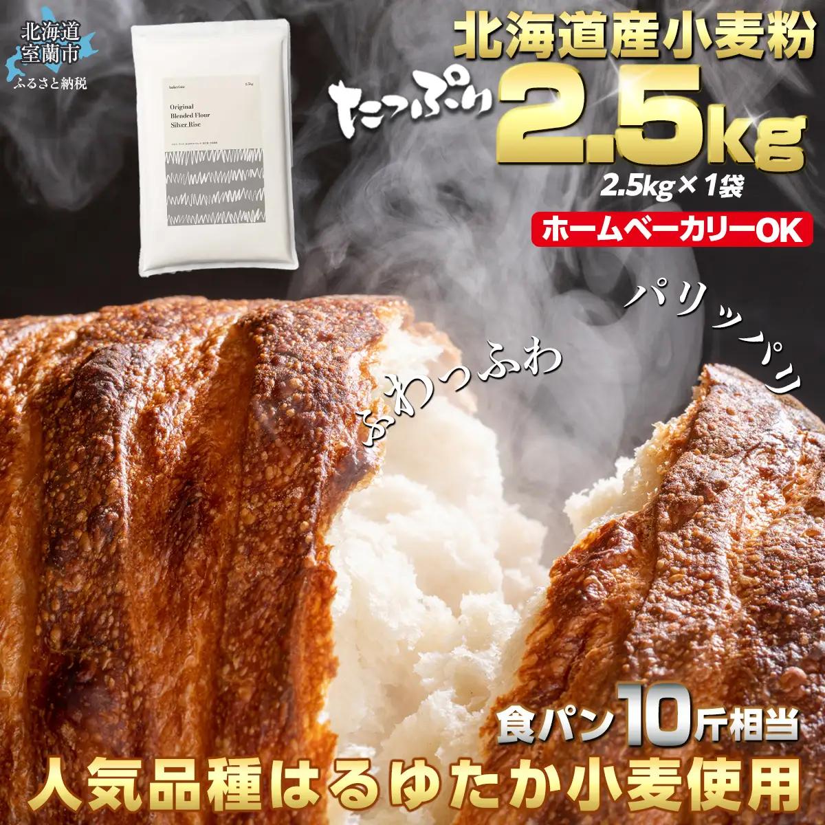 北海道産 小麦粉 はるゆたかブレンド小麦粉 シルバーライズ（パン用強力粉）2.5kg MROBI013