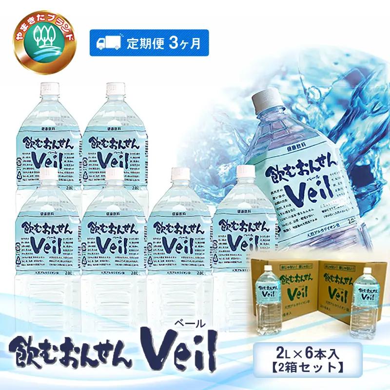 【定期便3ヶ月】飲むおんせんベール2L×6本入【2箱セット】【 温泉水 温泉純度100％ 保存水 防災 神奈川県 山北町 】
