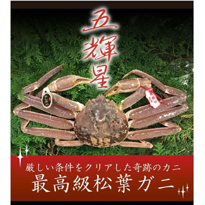 【ふるさと納税】特選とっとり松葉ガニ「五輝星(いつきぼし)」【山根商店】 | 鳥取　カニ　蟹