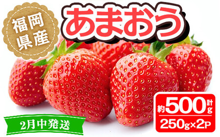 ＜先行予約受付中！2025年2月中に発送予定＞福岡県産 あまおう(計約500g・250g×2P)いちご 苺 フルーツ 果物 くだもの 冷蔵 ＜離島配送不可＞【ksg1491】【くまふる春日】