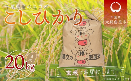 
										
										【新米】令和6年産 千葉県産エコ米「コシヒカリ」玄米20kg（20kg×1袋） お米 20kg 千葉県産 大網白里市 コシヒカリ エコ米 米 玄米 こめ 送料無料 A008
									