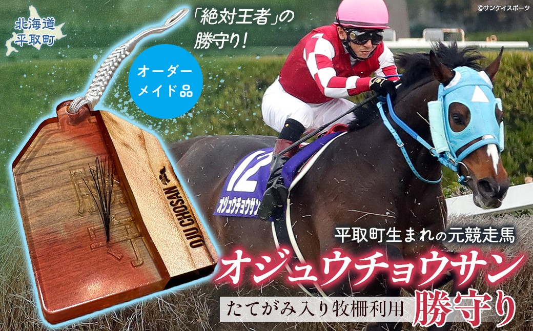 
                  【御守り】オジュウチョウサンたてがみ入り牧柵利用勝守り 【 ふるさと納税 人気 おすすめ ランキング お守り 御守り 馬 競馬 競走馬 オジュウチョウサン グッズ オーダーメイド 北海道 平取町 びらとり 送料無料 】 BRTV001
                
