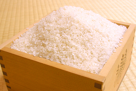 令和7年 千葉県産「ふさおとめ」15kg（精米）　竹ノ内米店