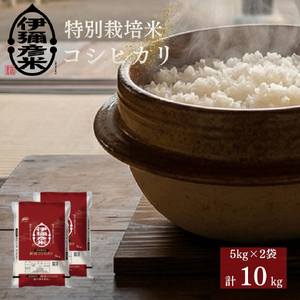 コシヒカリ 10kg 伊彌彦米 | コシヒカリ 特別栽培 新潟県 令和7年産