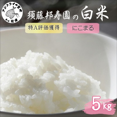 【毎月定期便】須藤邦寿園の白米 通算9回特A獲得米 にこまる 5kg全3回【4074803】