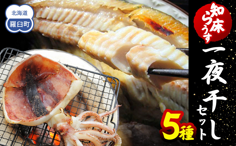 知床らうす 一夜干しセット 魚 北海道 海産物 魚介 魚介類 ほっけ ホッケ キンキ きんき めんめ いか 宗八カレイ 八角 干物 魚 肴 ご飯のお供 おかず 羅臼町 北海道 生産者 支援 応援