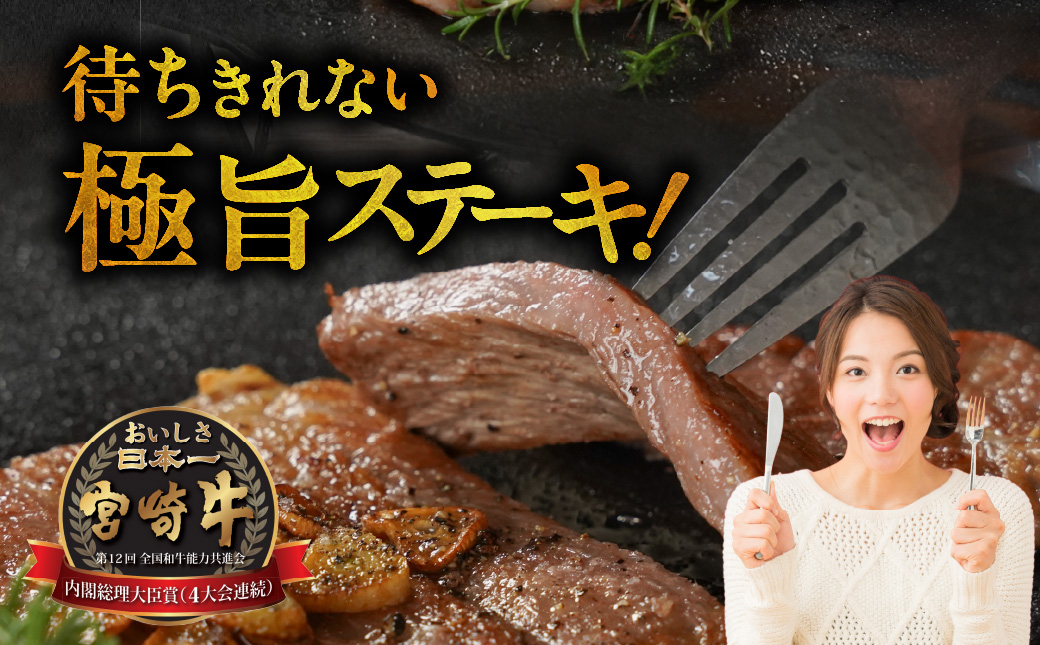 畜産農家応援! 宮崎牛ロースステーキ2枚 計500g+豚肉ハンバーグ&ウィンナー_16-N203-ESHW-CF_イメージ4