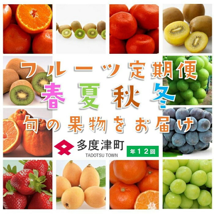 【ふるさと納税】【フルーツ定期便】フルーツ王国さぬきの旬のフルーツを毎月1種類ずつお届け しあわせ製麺 シャインマスカット ピオーネ さぬきひめ さぬきゴールド デコポン デラウエア 小原紅早生みかん キウイっこ 香緑 なつたより