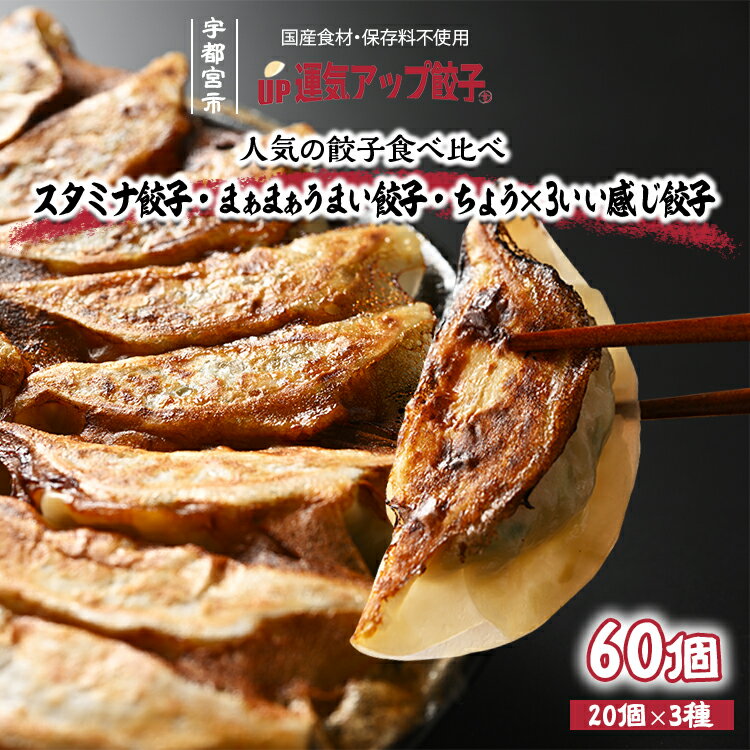【ふるさと納税】宇都宮餃子 運気アップ餃子 豚餃子 3種類(合計60個)【 餃子 食べ比べセット 冷凍餃子 冷凍食品 惣菜 栃木県 宇都宮市 】※配送不可地域：離島