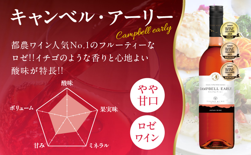都農ワインセレクトセット(合計3本) 酒 飲料 アルコール 国産_T014-001