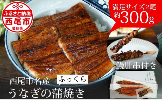 三河産うなぎ 蒲焼 2尾（合計300g）＋鰻肝 2本付《冷凍便》・A114-17