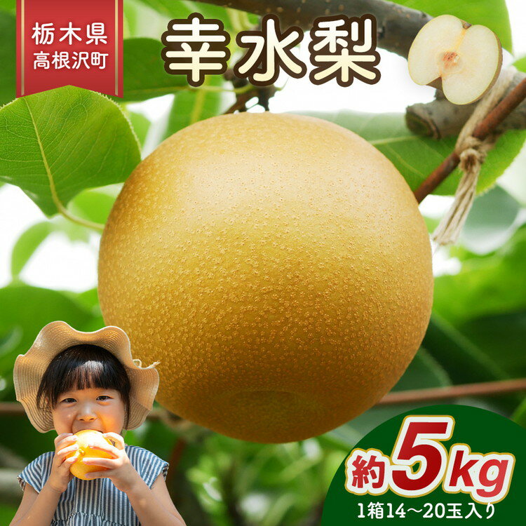 【ふるさと納税】幸水梨 5kg 梨 栃木県産| 梨 なし ナシ 果物 くだもの フルーツ 甘い 秋の味覚 産地直送 期間限定 季節限定 季節商品 送料無料 国産 栃木県 高根沢町※2026年8月～発送