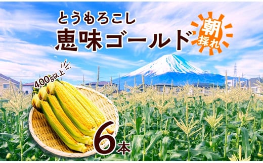
            【レビューキャンペーン実施中】とうもろこし 恵味 ゴールド 400g以上 × 6本 高糖度 トウモロコシ とうもろこし恵味ゴールド スイートコーン 玉蜀黍 イエローコーン 黄 夏野菜 甘い ジューシー 野菜 おやつ 旬 産地直送 湖南野菜出荷組合 山梨県 富士河口湖町 収穫時期 新鮮 湘南野菜 家庭菜園
          