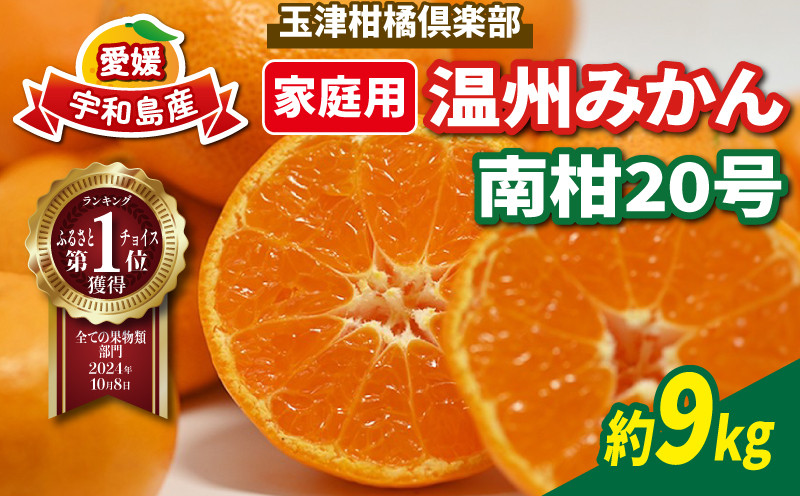 温州 みかん 南柑20号 10kg 家庭用 玉津柑橘倶楽部 果物 フルーツ 柑橘 蜜柑 みかんランキング 産地直送 数量限定 国産 愛媛 宇和島