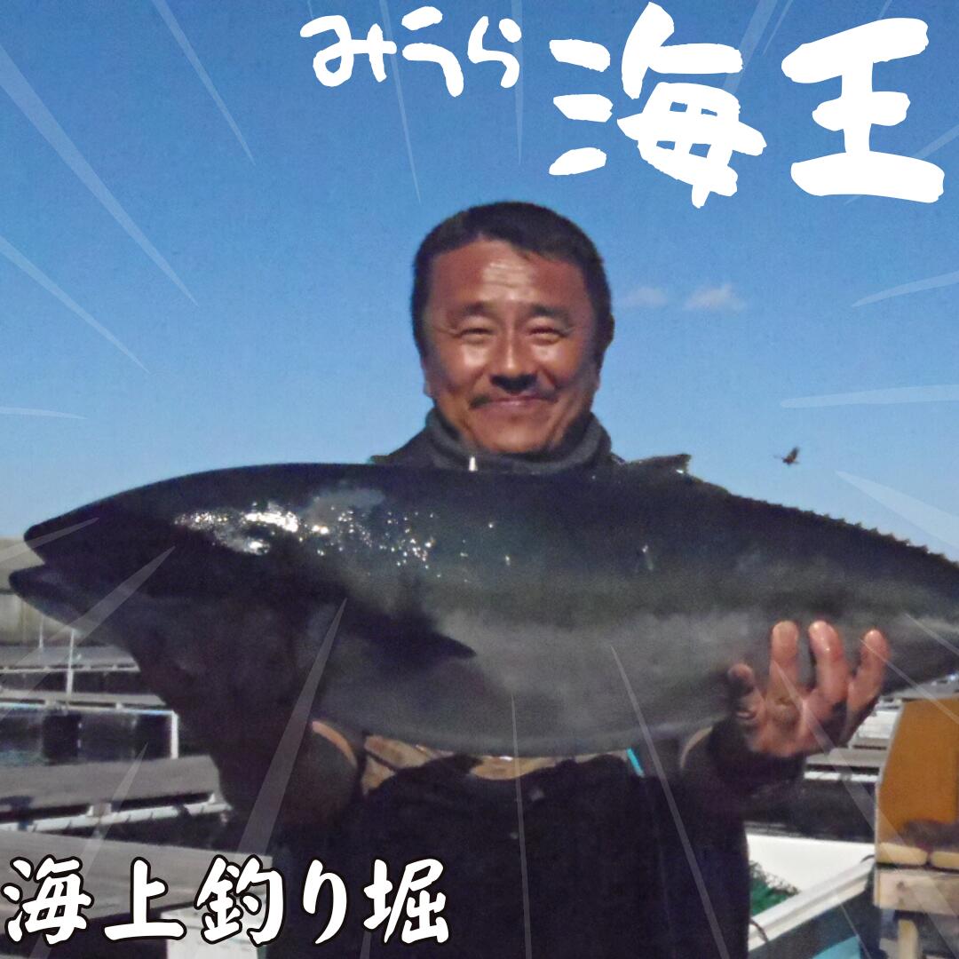 【ふるさと納税】「海上釣り堀 みうら海王」無料招待券 釣り堀 釣り 体験 チケット クーポン 利用券 レジャー 東京ベイリゾート 神奈川県 三浦市 おすすめ ランキング プレゼント ギフト