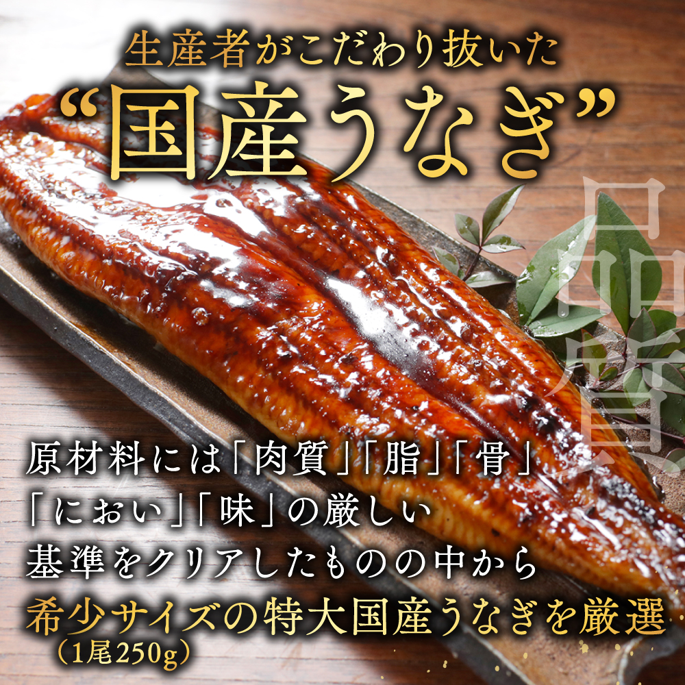 （6月）国産 希少 極大 特上うなぎ(250g×5尾)【OT000OE50_006】_イメージ3
