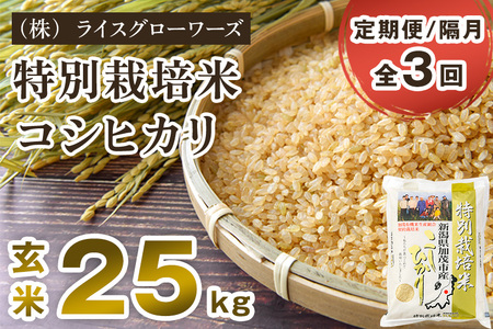 【令和8年産新米先行予約】【定期便3回隔月お届け】新潟県加茂市産 特別栽培米コシヒカリ 玄米25kg（5kg×5）《10月上旬～順次出荷》 従来品種コシヒカリ （株）ライスグローワーズ