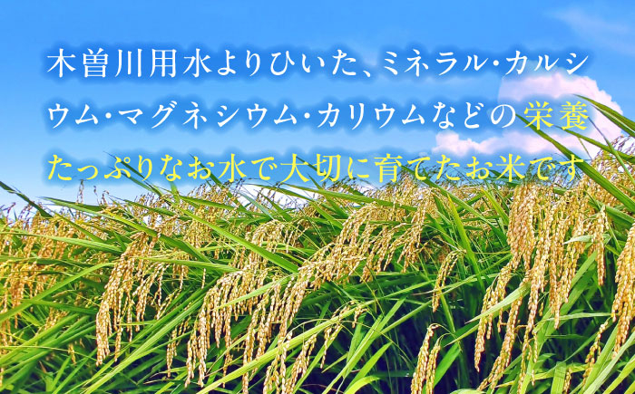 コシヒカリ 白米 5kg