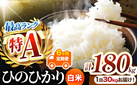【 定期便6回 】熊本県産 白米 ひのひかり 30kg | 30キロ 180キロ お米 米 こめ おこめ 精米 白米 ヒノヒカリ 5キロ 30キロ ご飯 国産 国産米 定期 くまもと 熊本 熊本県 玉名市 玉名