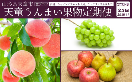 08-06-028　天童うんまい果物定期便(童プラン)全3回