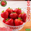 【ふるさと納税】あまおう（8粒～9粒×2パック）1パックあたり約250g～約410g いちご 苺 福岡 高級 フルーツ お取り寄せ ご当地グルメ 福岡土産 取り寄せ グルメ 福岡県 食品 東峰村　3Z1