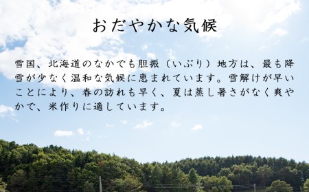 0009 特Aランクのお米「ななつぼし・ゆめぴりか」食べくらべセット