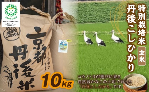 【配送時期：2027年3月、4月、5月】【3ヶ月定期便】令和8年産 丹後こしひかり 玄米10kg 【特別栽培米】新米 ふるさと納税 米 玄米 10キロ お米 ご飯 新米 特別栽培 令和8年 ふるさと納税 コシヒカリ　KU00091