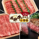 【ふるさと納税】飛騨牛づくし 定期便 3ヶ月 ( 焼肉 / すき焼き / ステーキ ) 全3回 | 肉 牛肉 しゃぶしゃぶ 食べ比べ 牛 定期 おすすめ 人気 飛騨高山 ブランド牛 ふるさと納税 肉定期便 肉の匠家 BV100MP▲