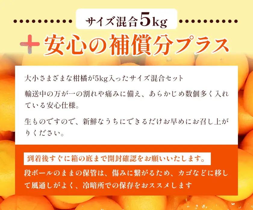 旬の柑橘 詰め合わせ 3種以上 サイズ混合 5kg エイワ商店
