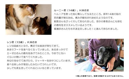 【3回定期便】 森のジビエ for PET 鹿肉 2kg ペットフード 犬 猫 A-JK-B01A