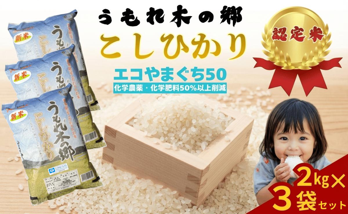 
                  令和7年産 コシヒカリ 6kg（2kg×3袋）｜山口県 阿武町産「うもれ木の郷」エコやまぐち認証 米 白米
                