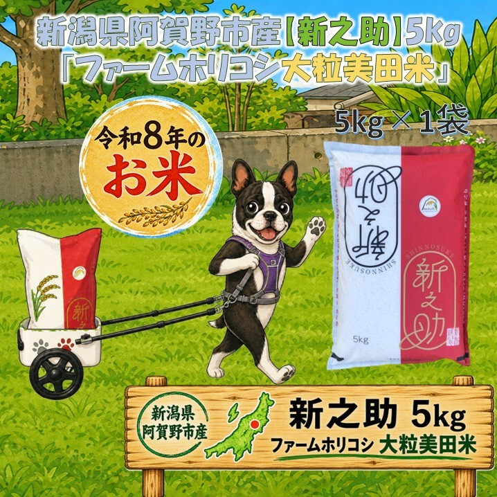 
                  【新米予約 新之助 5kg】令和8年産 阿賀野市産新之助「ファームホリコシ新之助」白米 精米 ファームホリコシ | 新潟県産新之助 新潟産新之助 阿賀野産新之助 阿賀野新之助 しんのすけ お米 米 ブランド米 おこめ コメ 美田米 5キロ 新米 農事組合法人 にいがた あがの 新潟県 阿賀野市 3H03013
                