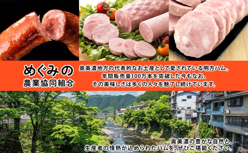 明方 ハム Bセット ボロニア ソーセージ フランクフルト JA ブランド 豚肉 お肉 国産 熟成 塩分 控えめ 豚腸 バーベキュー BBQ 加工品 お取り寄せ 贈答 ギフト 送料無料 めぐみの農業協