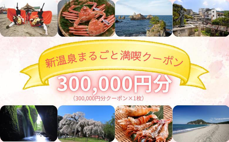 
                  新温泉まるごと満喫クーポン(300,000円分)　300,000×1枚
                