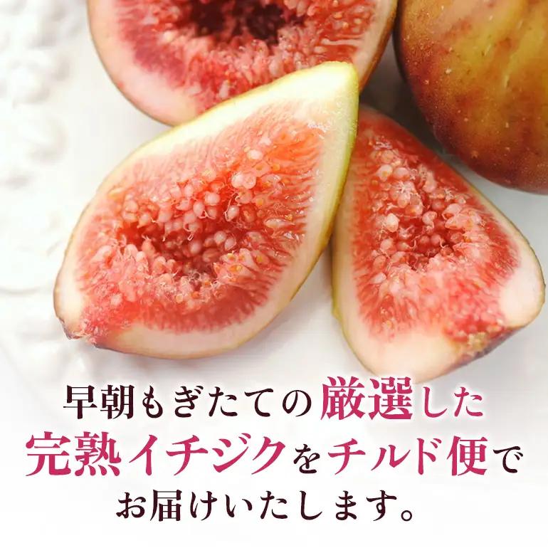 【先行予約】 吉瀬森果園 イチジク （とよみつひめ） L玉 12個入り 【2026年7月下旬-9月下旬発送予定】 いちじく 果物 くだもの フルーツ 果実 オリジナル品種 ハウス栽培 ゆりかーご お取
